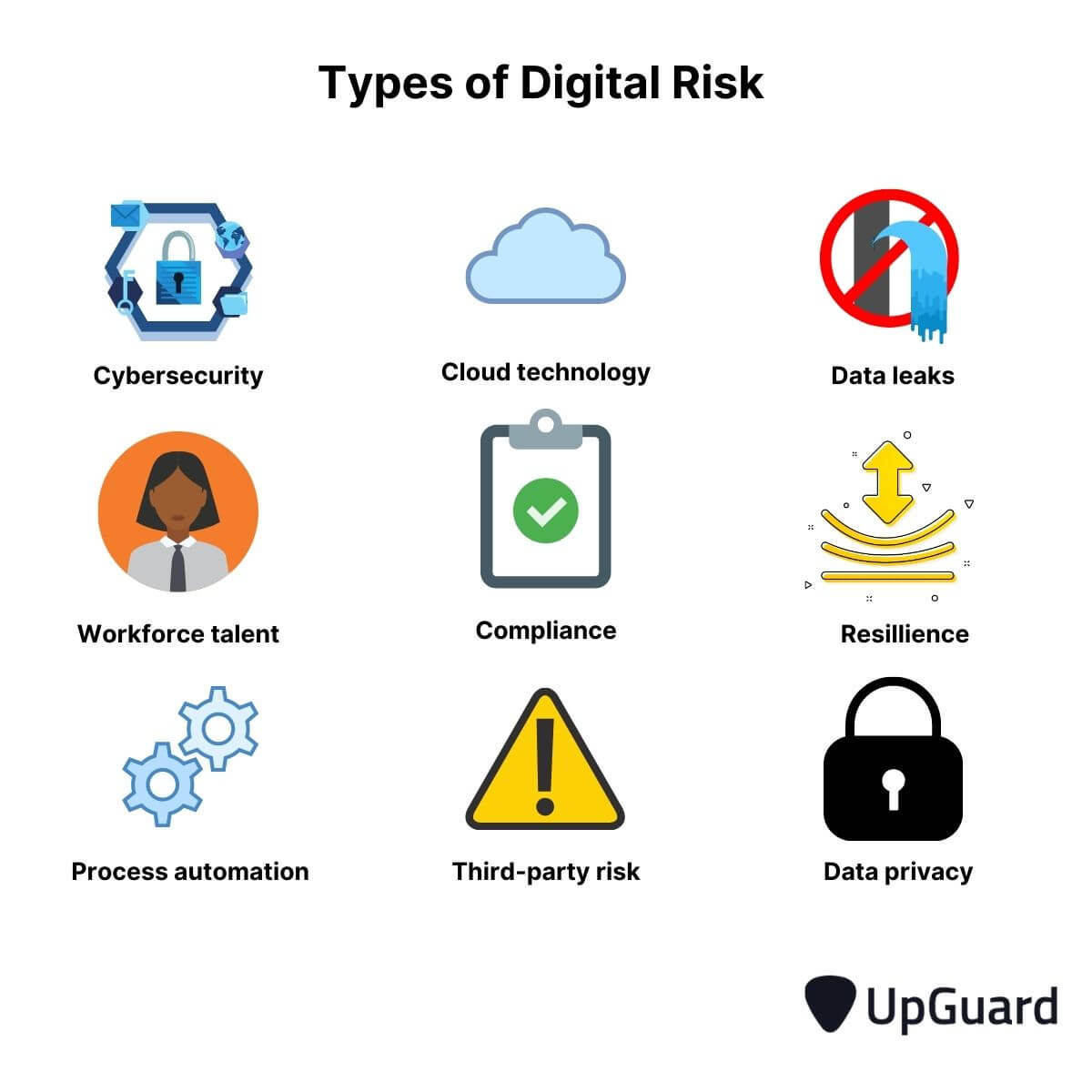 digital risk types