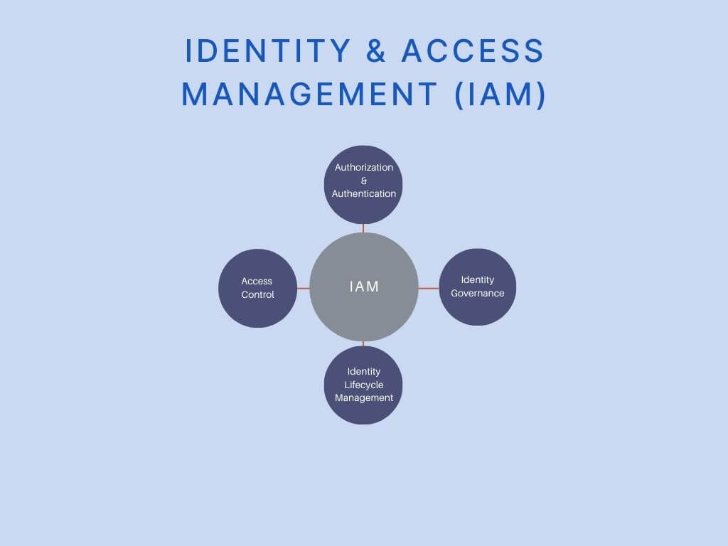 spider web graph displaying common principles of identity and access management (IAM) y