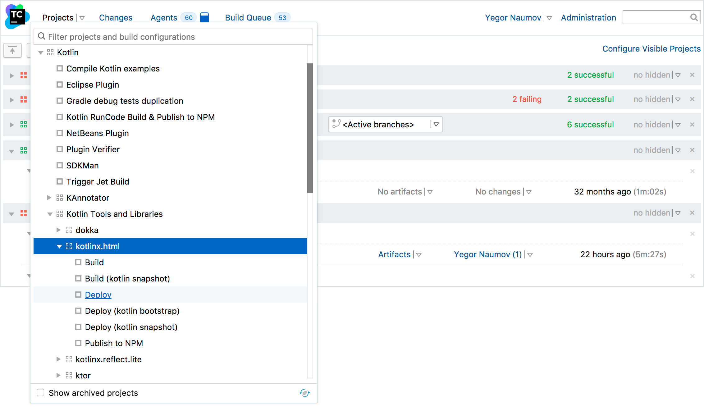 TeamCity Interface